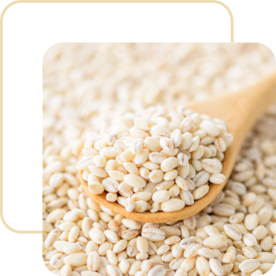 食卓にもち麦をプラス健康的な食事を皆様へ