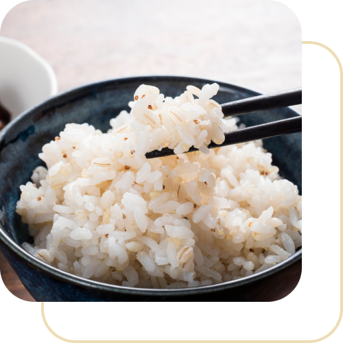 食卓にもち麦をプラス健康的な食事を皆様へ