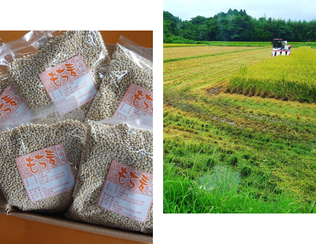 ぐっちーずのこだわり